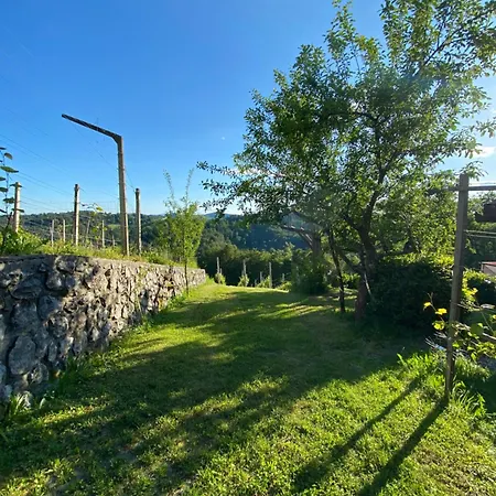 Apartma Medvedjek * Velika Loka