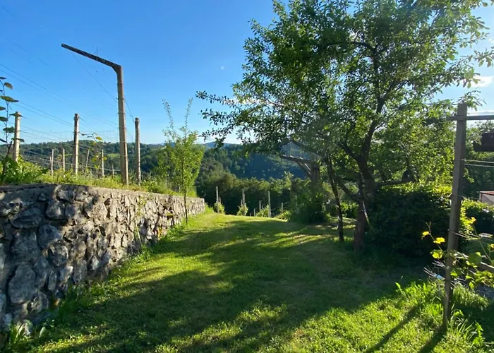 Apartma Medvedjek * Velika Loka